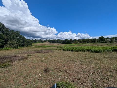 Quinta  Venda em Pedrógão Grande,Pedrógão Grande