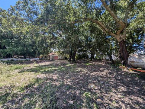 Quinta  Venda em Pedrógão Grande,Pedrógão Grande