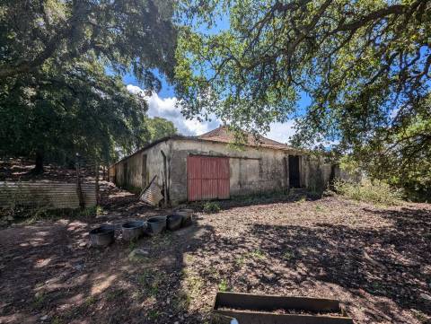 Quinta  Venda em Pedrógão Grande,Pedrógão Grande