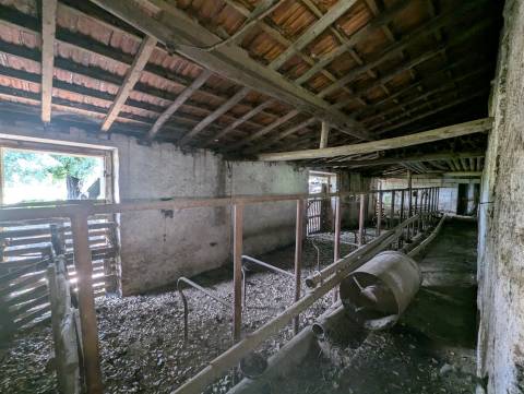 Quinta  Venda em Pedrógão Grande,Pedrógão Grande