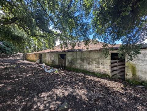 Quinta  Venda em Pedrógão Grande,Pedrógão Grande