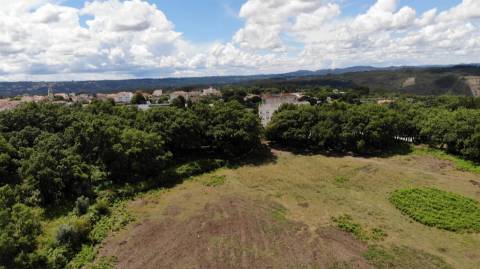 Quinta  Venda em Pedrógão Grande,Pedrógão Grande