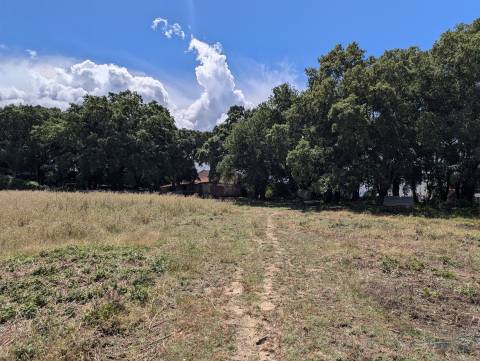 Quinta  Venda em Pedrógão Grande,Pedrógão Grande