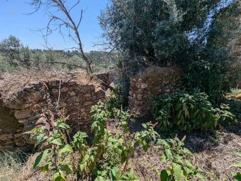 Moradia Rústica T3 Venda em Vila de Rei,Vila de Rei
