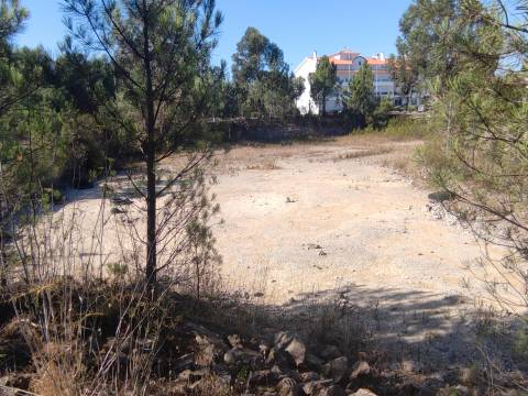 Lote de Terreno  Venda em Vila de Rei,Vila de Rei