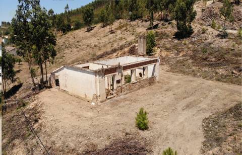 Moradia Rústica T1 Venda em Vila de Rei,Vila de Rei