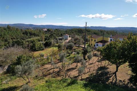 Moradia T1 Venda em Sertã,Sertã