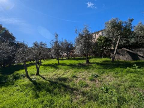Moradia T5 Venda em Pedrógão Grande,Pedrógão Grande