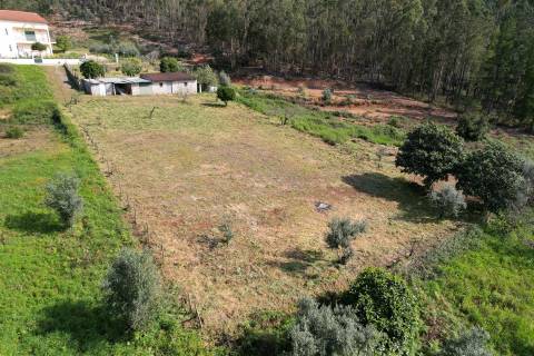Terreno Para Construção T4 Venda em Cernache do Bonjardim, Nesperal e Palhais,Sertã