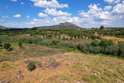 Quinta T3 Venda em Monsanto e Idanha-a-Velha,Idanha-a-Nova