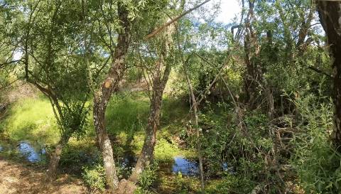 Quinta T3 Venda em Monsanto e Idanha-a-Velha,Idanha-a-Nova