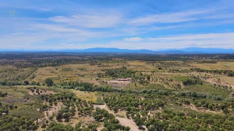 Quinta T3 Venda em Monsanto e Idanha-a-Velha,Idanha-a-Nova