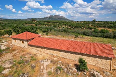 Quinta T3 Venda em Monsanto e Idanha-a-Velha,Idanha-a-Nova