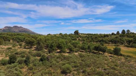 Quinta T3 Venda em Monsanto e Idanha-a-Velha,Idanha-a-Nova