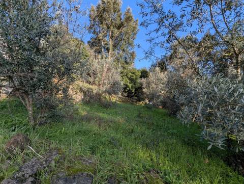 Moradia Isolada T2 Venda em Alvares,Góis