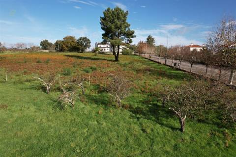 Terreno Para Construção  Venda em Pedrógão Grande,Pedrógão Grande