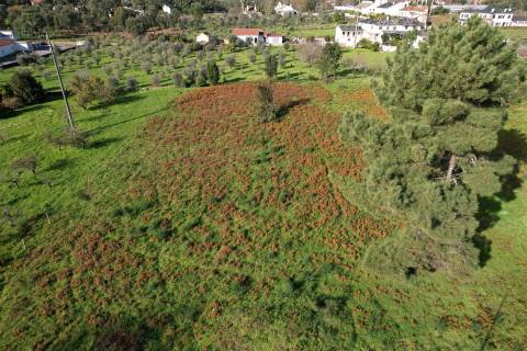 Terreno Para Construção  Venda em Pedrógão Grande,Pedrógão Grande