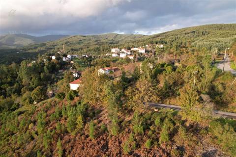 Terreno Para Construção  Venda em Alvares,Góis