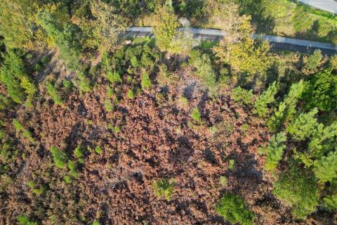 Terreno Para Construção  Venda em Alvares,Góis