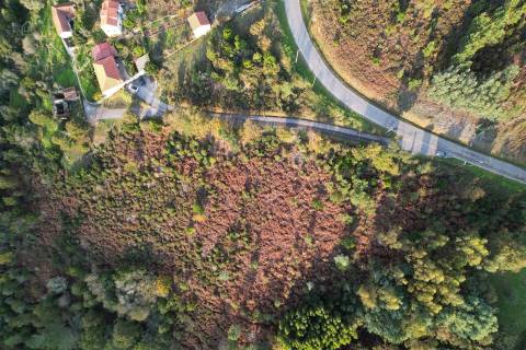 Terreno Para Construção  Venda em Alvares,Góis