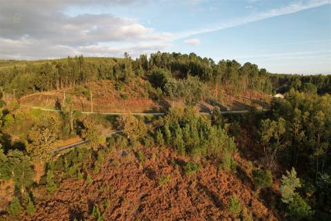 Terreno Para Construção  Venda em Alvares,Góis