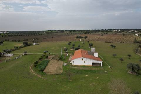 Quinta T4 Venda em Redondo,Redondo