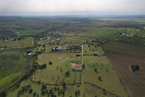 Quinta T4 Venda em Redondo,Redondo