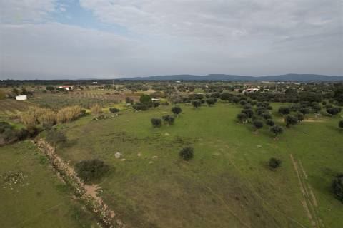 Quinta T4 Venda em Redondo,Redondo