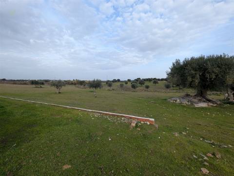 Quinta T4 Venda em Redondo,Redondo