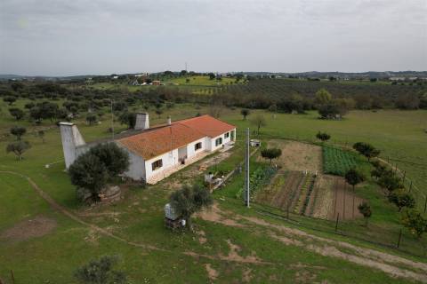 Quinta T4 Venda em Redondo,Redondo