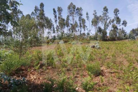 Lote para Construção em Pedroso, Vila Nova da Gaia