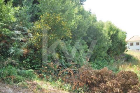 Terreno urbanizável com vista Mar em Moledo