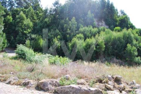 Terreno urbanizável com vista Mar em Moledo