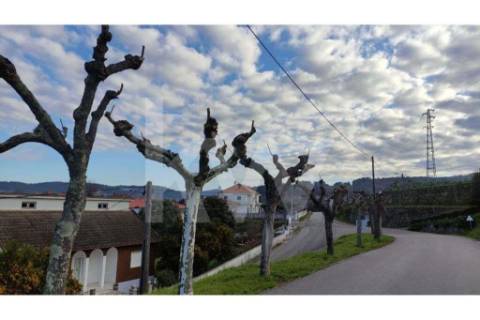 Terreno com viabilidade de Construção em Infesta (100m da capela de São Sebastião)