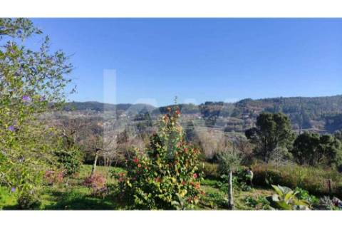 Terreno com viabilidade de Construção em Infesta (100m da capela de São Sebastião)