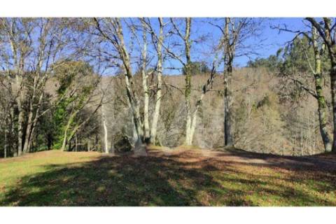Terreno com viabilidade de Construção em Infesta (100m da capela de São Sebastião)