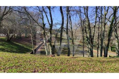 Terreno com viabilidade de Construção em Infesta (100m da capela de São Sebastião)