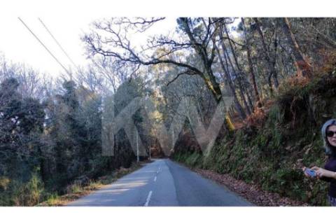 Terreno com viabilidade de Construção em Infesta (100m da capela de São Sebastião)