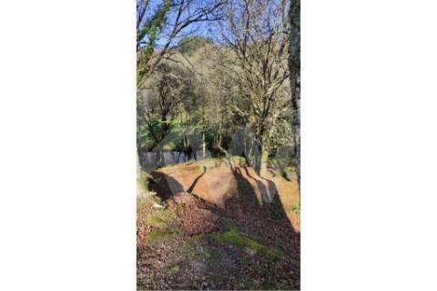 Terreno com viabilidade de Construção em Infesta (100m da capela de São Sebastião)