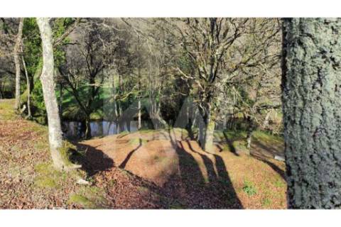 Terreno com viabilidade de Construção em Infesta (100m da capela de São Sebastião)