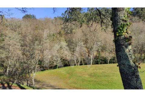 Terreno com viabilidade de Construção em Infesta (100m da capela de São Sebastião)