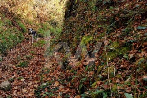 Terreno com viabilidade de Construção em Infesta (100m da capela de São Sebastião)