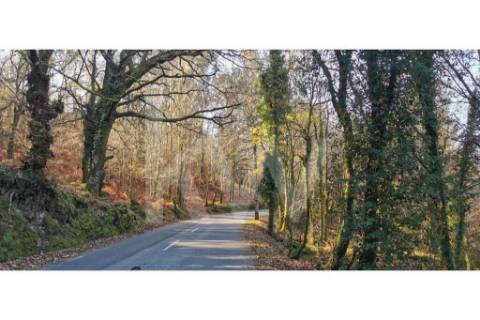 Terreno com viabilidade de Construção em Infesta (100m da capela de São Sebastião)