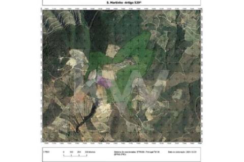 TERRENO DE 39 Ha, COM VISTA PARA O RIO DOURO (3.1 Ha DE VINHA COM BENEFÍCIO + 1.1 Ha DE OLIVAL)