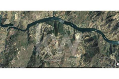 TERRENO DE 39 Ha, COM VISTA PARA O RIO DOURO (3.1 Ha DE VINHA COM BENEFÍCIO + 1.1 Ha DE OLIVAL)