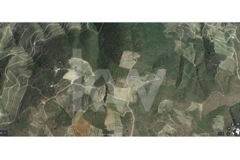 TERRENO DE 39 Ha, COM VISTA PARA O RIO DOURO (3.1 Ha DE VINHA COM BENEFÍCIO + 1.1 Ha DE OLIVAL)