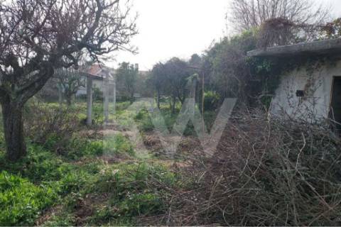 Terreno em Francelos perto do Mar com PIP aprovado para 6 moradias