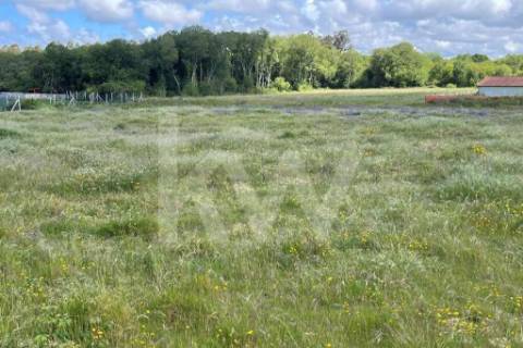 GRANDE TERRENO RÚSTICO COM 5.050 M2, LOCALIZADO NA MURTOSA