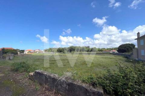 GRANDE TERRENO RÚSTICO COM 5.050 M2, LOCALIZADO NA MURTOSA