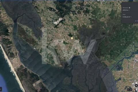 GRANDE TERRENO RÚSTICO COM 5.050 M2, LOCALIZADO NA MURTOSA